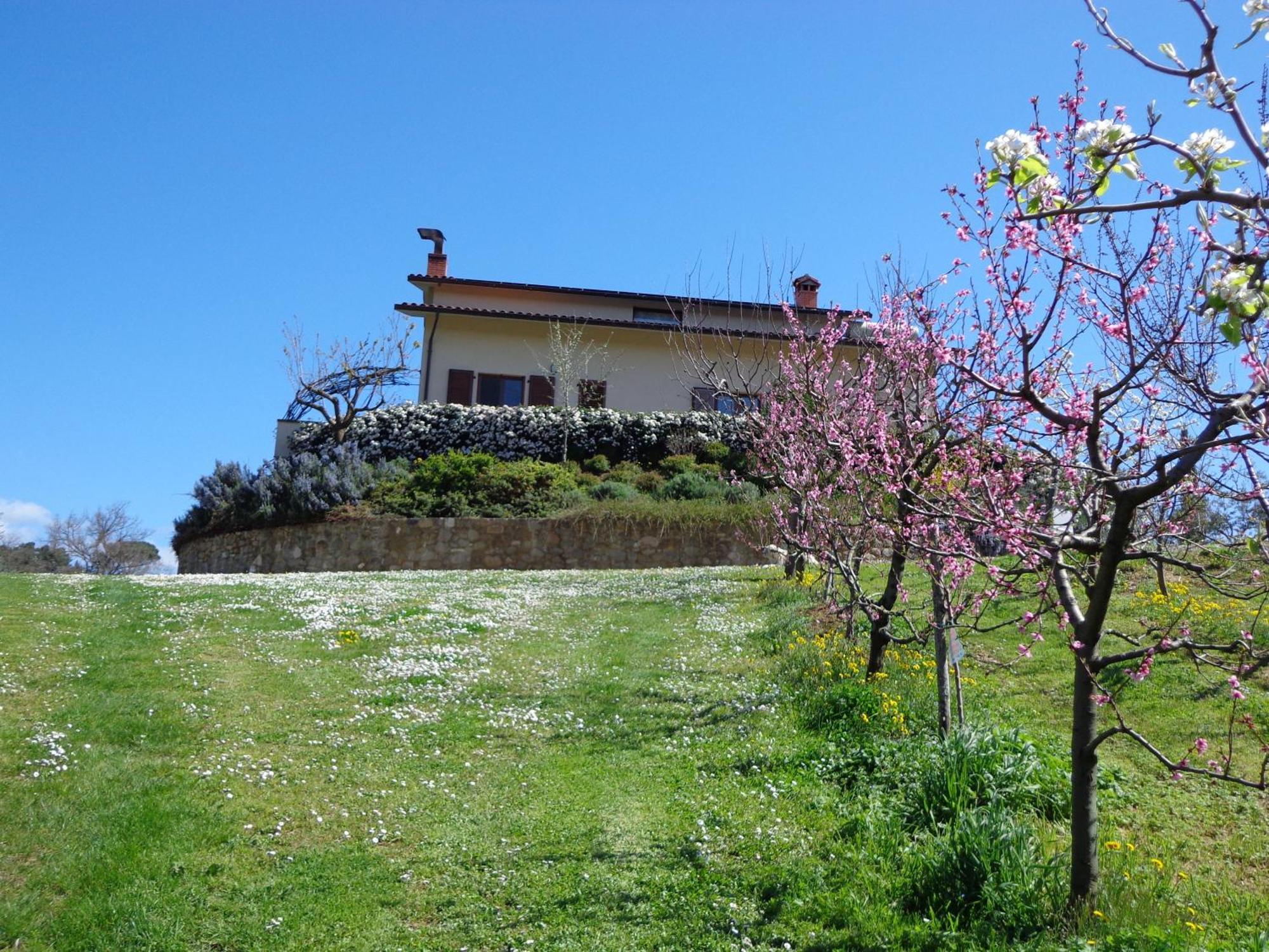 Agriturismo Val Della Pieve Anghiari Exteriér fotografie