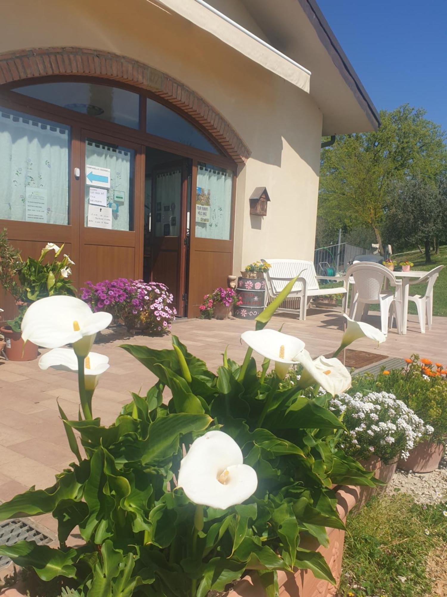 Agriturismo Val Della Pieve Anghiari Exteriér fotografie