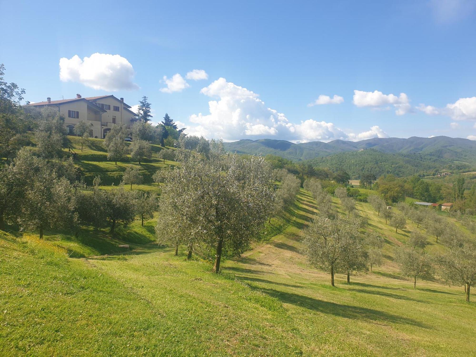 Agriturismo Val Della Pieve Anghiari Exteriér fotografie