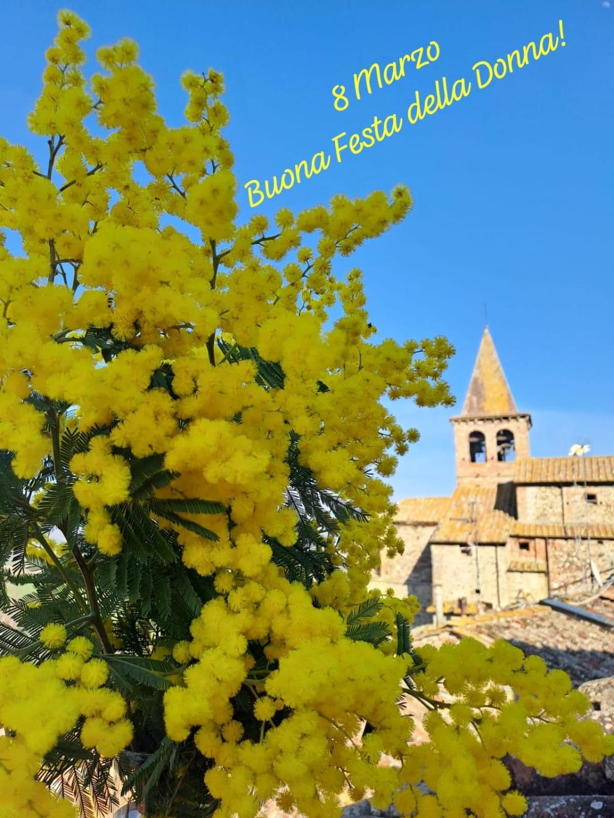 Agriturismo Val Della Pieve Anghiari Exteriér fotografie