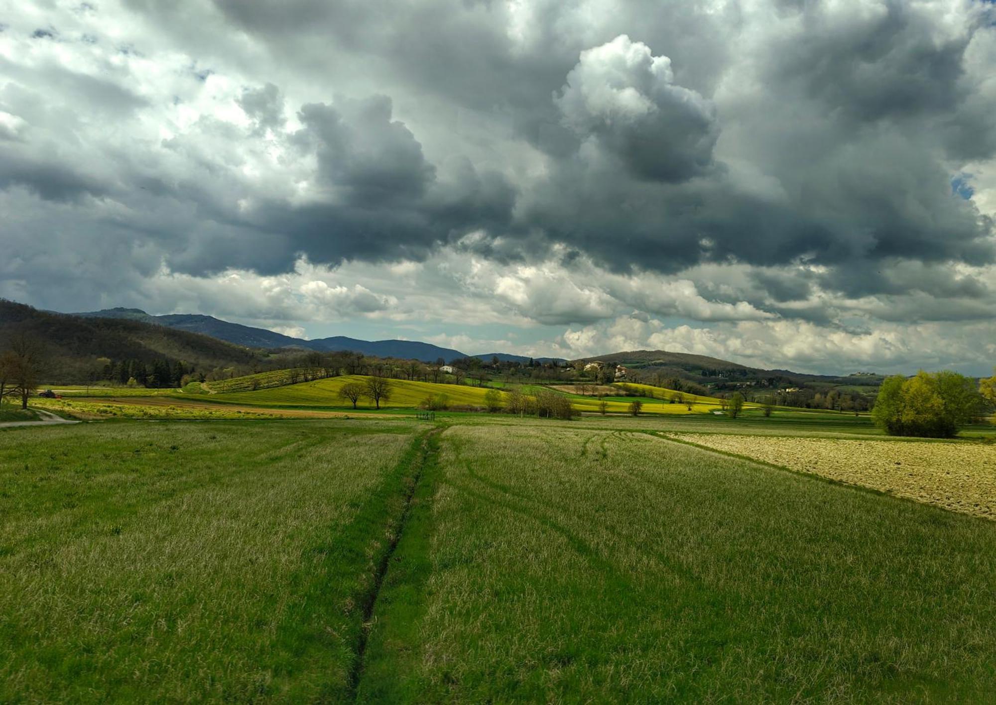 Agriturismo Val Della Pieve Anghiari Exteriér fotografie